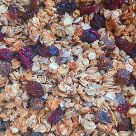 Granola aux Fruits Bio - vrac